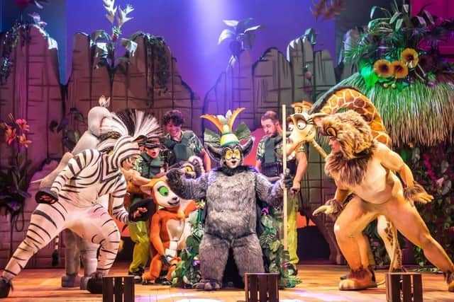 The cast of Madagascar the Musical.