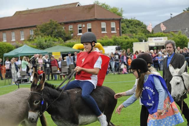 The Stubbington Fayre and Donkey Derby.Picture Ian Hargreaves (180827-1_donkey)