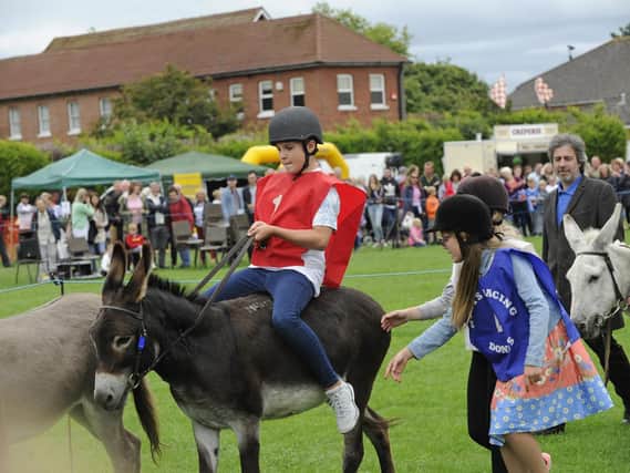 The Stubbington Fayre and Donkey Derby.Picture Ian Hargreaves  (180827-1_donkey)