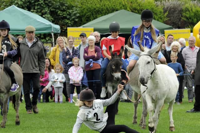 The Stubbington Fayre and Donkey Derby. Picture Ian Hargreaves