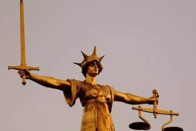 The dogs owner appeared at Portsmouth Crown Court