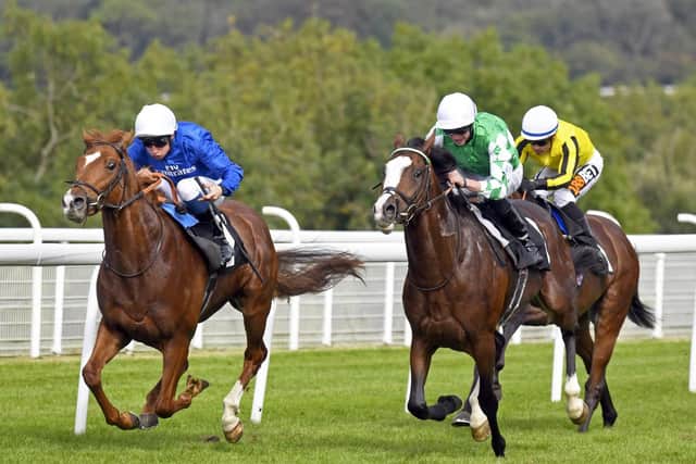 Line Of Duty on the way to winning the Peter Willett Stakes / Picture by Malcolm Wells