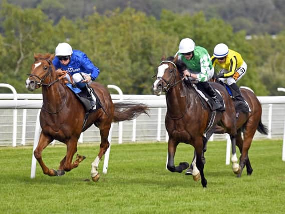 Line Of Duty on the way to winning the Peter Willett Stakes / Picture by Malcolm Wells