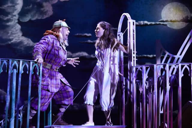 Awful Auntie by David Walliams will be at the Kings Theatre from September 12-16.