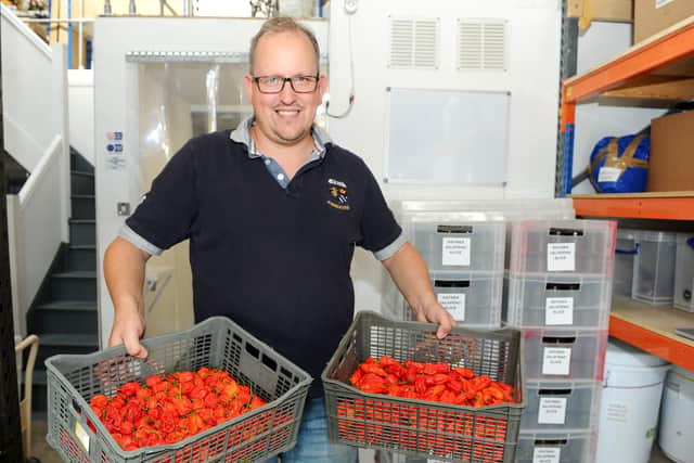 Nathanael Boarer, co-founder and director of the Chilli Mash Company