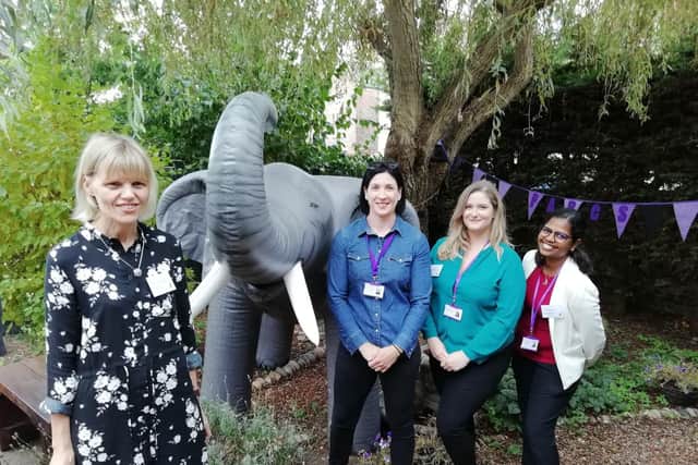 From left, Kim Hosier, Gemma Green, Eleanor Palmer and Asheta Jayapalam from Portsmouth Abuse and Rape Counselling Service (PARCS). Picture: David George