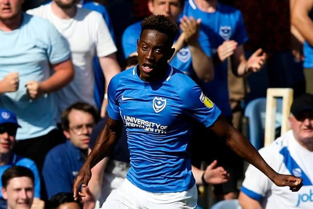 Jamal Lowe is thriving in Kenny Jackett's approach. Picture: Joe Pepler