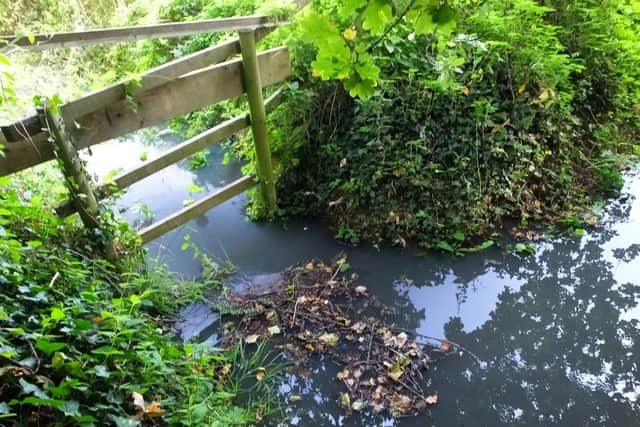 Sewage Effluent in drainage ditch surrounding Stoke village