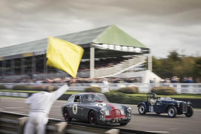 Vintage cars pictured during the Fordwater Trophy Race at Goodwood Revival this year