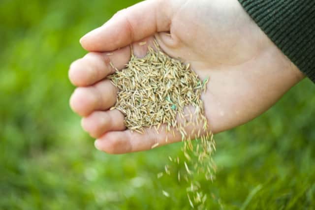It's easy to re-generate your lawn according to Brian Kidd.