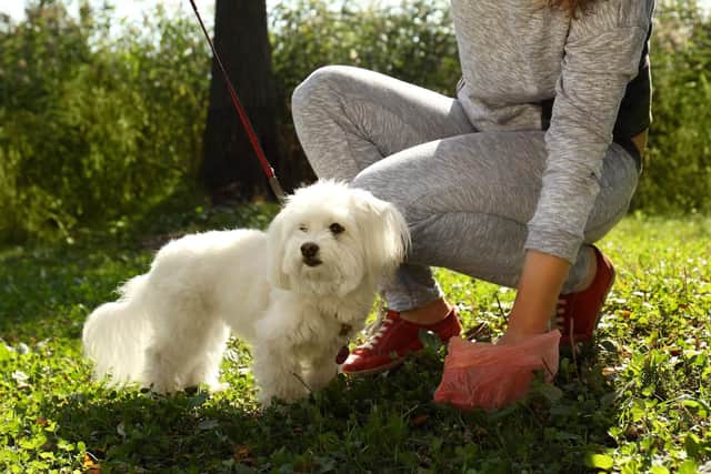 Verity is fed up with dog owners not clearing up their pets' poo