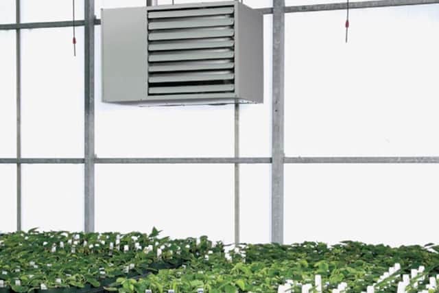 Check your greenhouse heater is working.