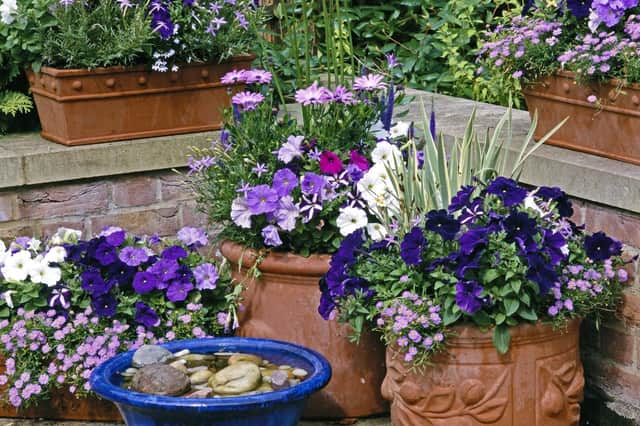 Troughs, pots and tubs filled with flowers. Make sure you look after them this autumn.