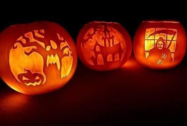Why not pick your own pumpkin this Halloween?
