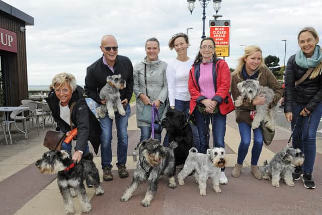 Schnauzerfest took place in Eastney  
Picture Ian Hargreaves  (181013-3_dogs)