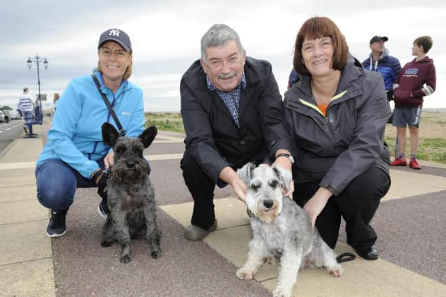 From left, Vanessa Thomas with Wilf and Mark and Drin Woodland with Burt.
Picture: Ian Hargreaves (181013-2_dogs)