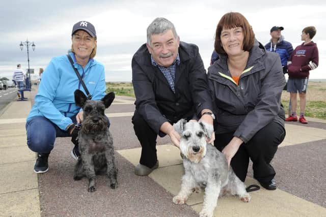 From left, Vanessa Thomas with Wilf and Mark and Drin Woodland with Burt.
Picture: Ian Hargreaves  (181013-2_dogs)
