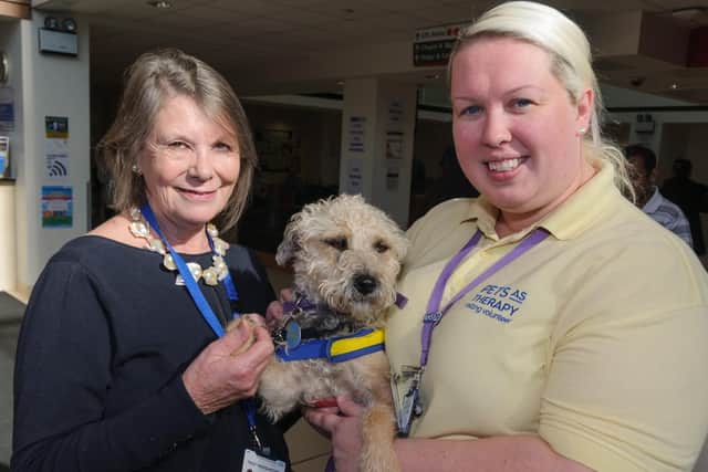 QA Trust Chairman Melloney Poole, left, with Claire Spencer-Hanmer and 'Tilly' promoting 'Pets as Therapy'. Claire is also a Maternity Support Worker. Picture: Duncan Shepherd