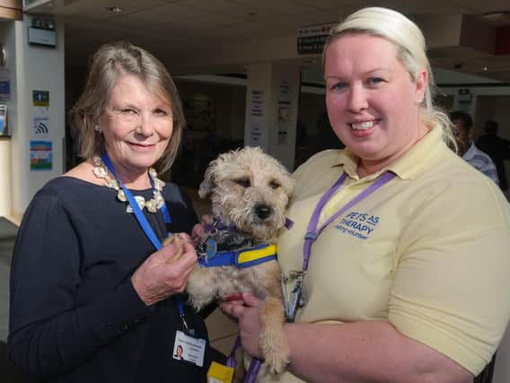 QA Trust Chairman Melloney Poole, left, with Claire Spencer-Hanmer and 'Tilly' promoting 'Pets as Therapy'. Claire is also a Maternity Support Worker. Picture: Duncan Shepherd
