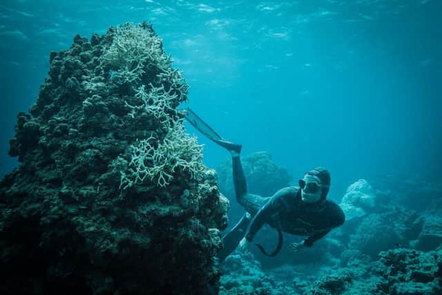 Lucas Handley in the film, Blue.