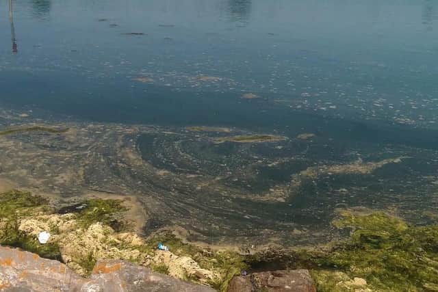 Scum foam at Langstone Harbour, Eastney