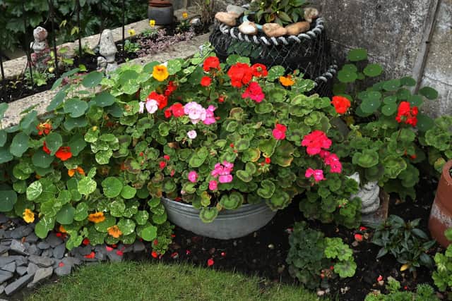 Detail from the garden of Bloomin' Marvellous winner Ray Hunt of Waterlooville. Picture: Chris Moorhouse