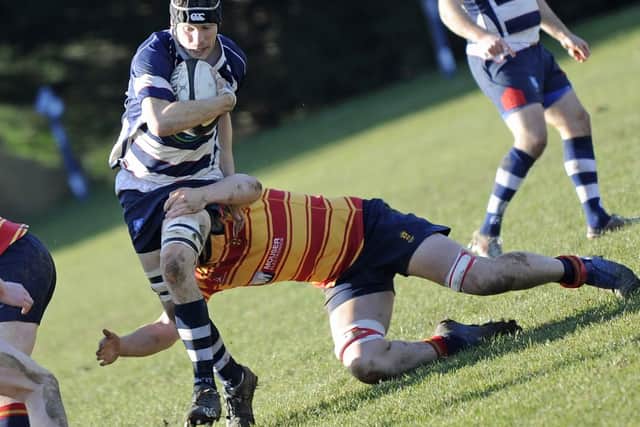 Joe Davis is available for Havan't trip to London Cornish. Picture: Duncan Shepherd