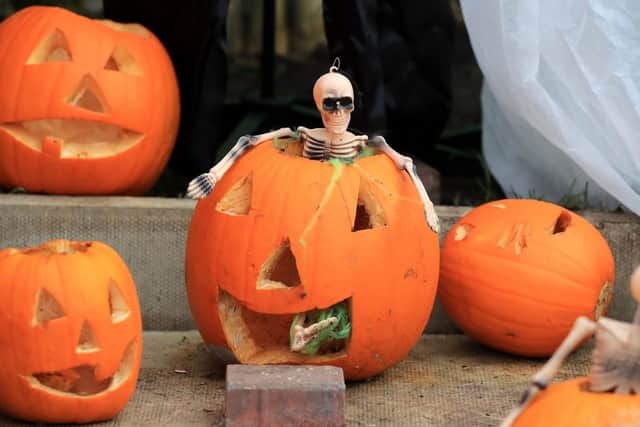 Verity wants to know why the UK has suddenly started celebrating Halloween