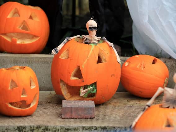 Verity wants to know why the UK has suddenly started celebrating Halloween