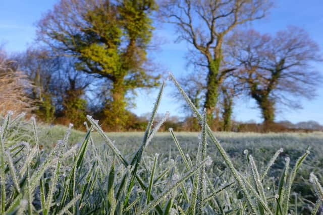 Frosty weather to hit the area later this week. Picture: Lin Mitchell