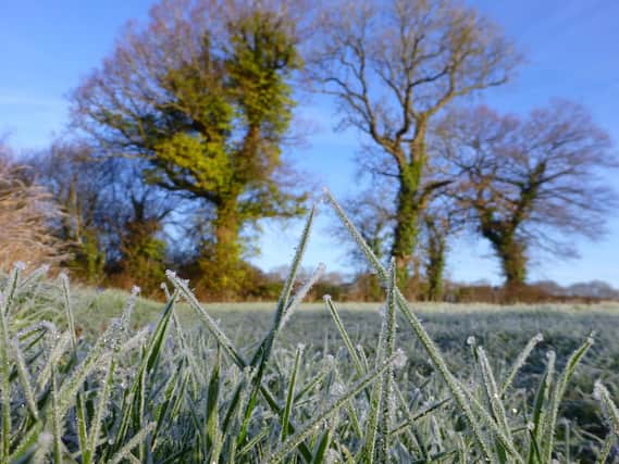 Frosty weather to hit the area later this week. Picture: Lin Mitchell