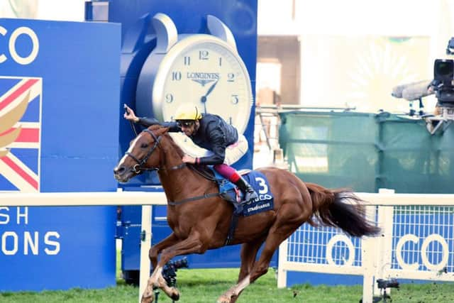 Stradivarius and Frankie Dettori win their Champions Day contest at Ascot / Picture by Malcolm Wells