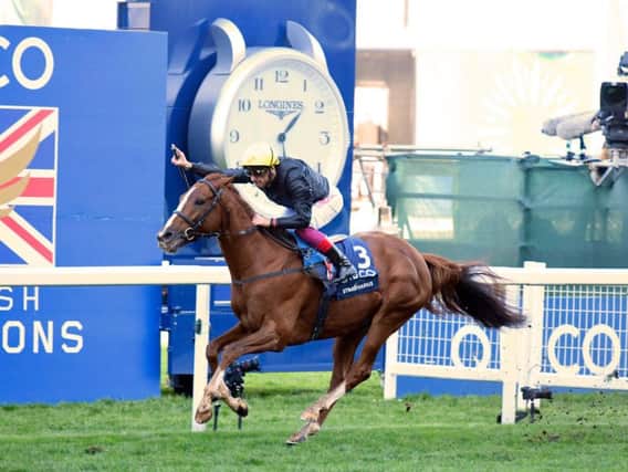 Stradivarius and Frankie Dettori win their Champions Day contest at Ascot / Picture by Malcolm Wells