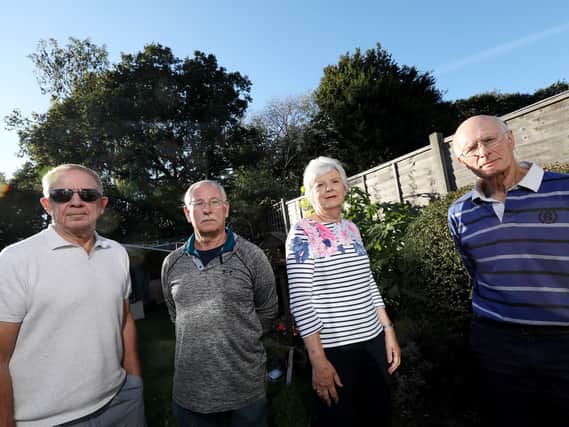 From left, Stephen Smith, Ken Dimmer, and Ann and Mike Milne are unhappy with Network Rail's plans to cut down the mature trees behind their homes in Beaufort Avenue, Fareham Picture: Chris Moorhouse