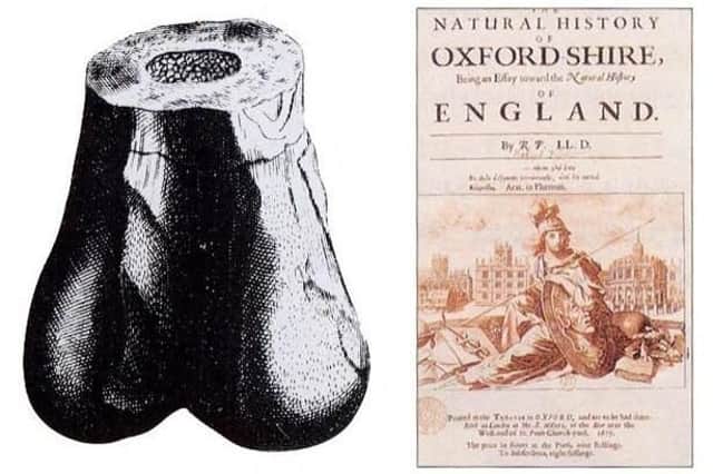 Scrotum Humanum Picture: Robert Plot, Michael Burghers / Wikimedia Commons (labelled for reuse)