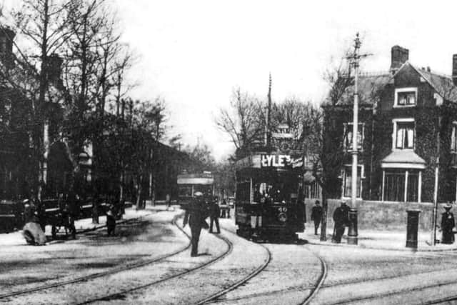 A view down Gladys Avenue about 1910 with the tram shed in the distant left behind the trees.