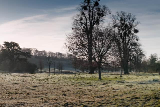 Temperatures will drop this weekend. Picture: Julian Gazzard