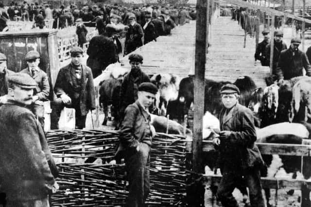 Fareham cattle market, about 1920.