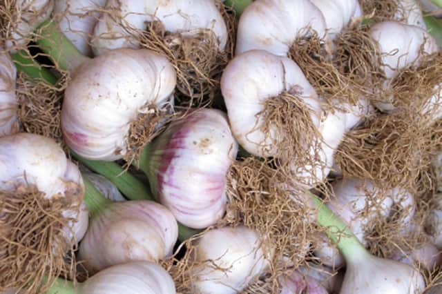 Solent Wight garlic from... the Isle of Wight.