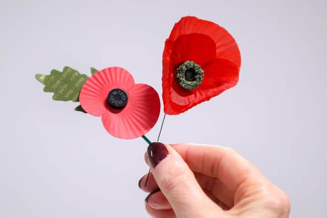 Poppies. Picture: Andrew Matthews/PA Wire