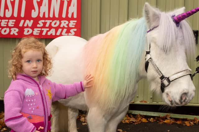 Amber Bentley, two, strokes the unicorn.

Picture Credit: Keith Woodland