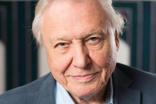Sir David Attenborough. Picture: David Parry/ PA Wire