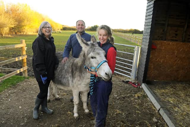 From left, Lynn Laidlaw, Paul Hunt, and Tracy Hunt with Cash the donkey at The Hayling Island Donkey Sanctuary
Picture: Malcolm Wells (181114-7660)