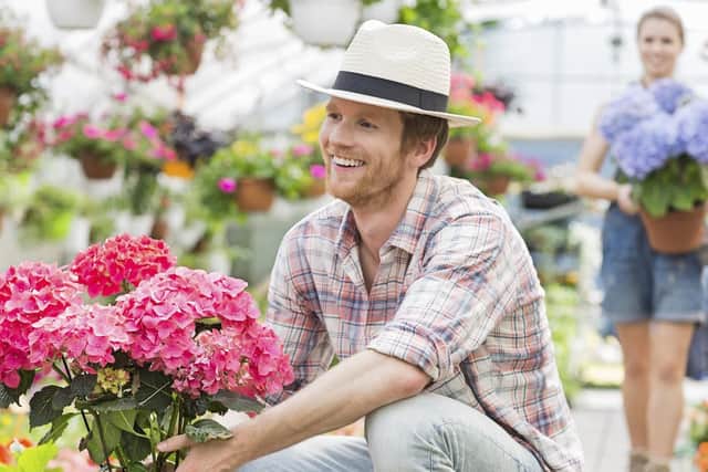 Movingshrubs and larger plants around the garden should be done with care.