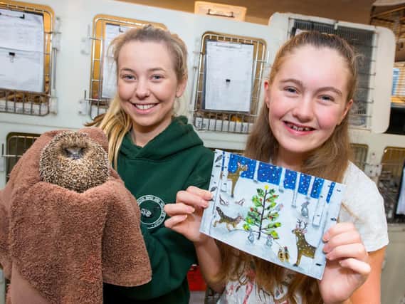Anniemae Leason fromBrent Lodge Wildlife Hospital with Christmas card competition winner Nicole Pook, 14