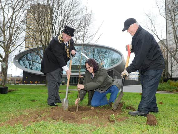 The Lord Mayor of Portsmouth Lee Mason, Helen Bergin, Portsmouth City Council landscape architect and Dennis David, tree warden and lead volunteer.
Picture: Sarah Standing (180855-2650)