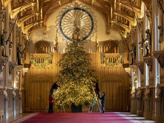 20ft Norman fir Christmas tree in St George's Hall at Windsor Castle, Berkshire, which is being decorated for Christmas. Picture: Steve Parsons/PA Wire