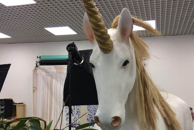 The large prop at Unicorns Are Real in the Meridian Shopping Centre in Havant