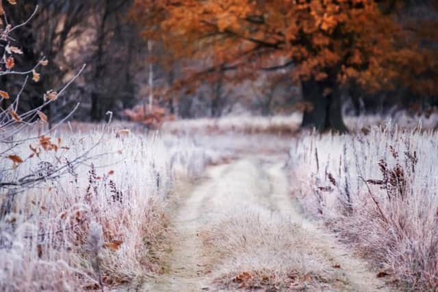 This week will see temperatures plummet, as a cold spell brings below-freezing conditions to the South of England