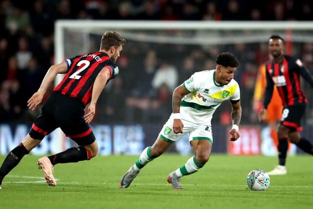 Onel Hernandez has impressed for Norwich this season. Picture: PA